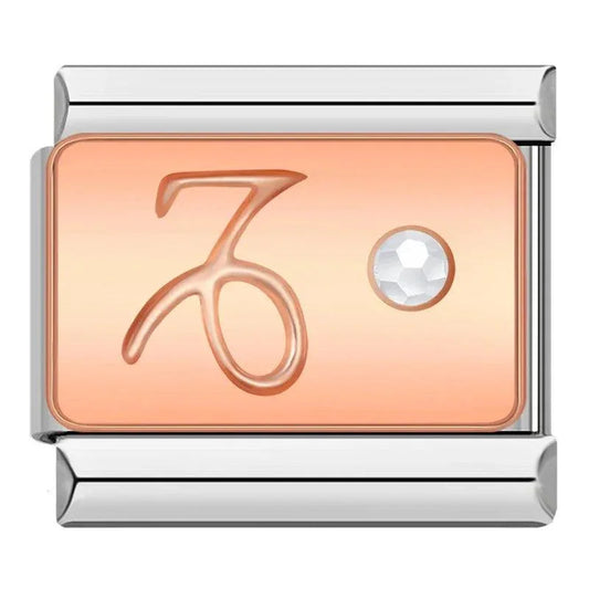 Capricorn with Stone, on Silver - Charms Official