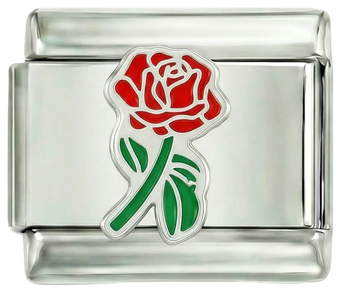 Ganze rote Rose mit grünem Stiel