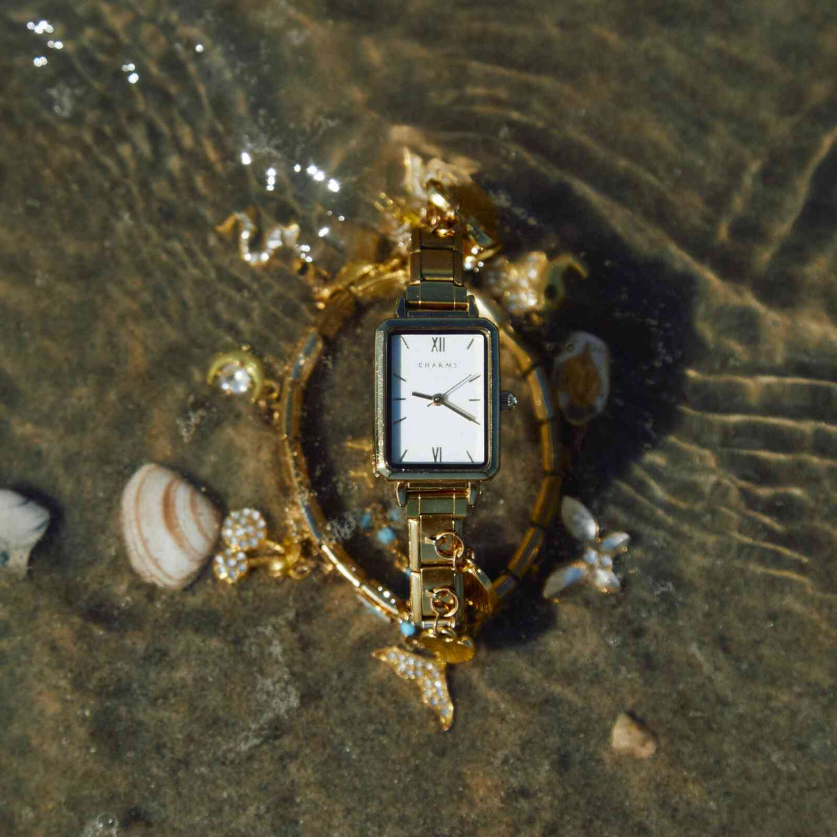 Gold & Silver Watches