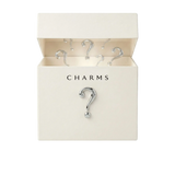 Überraschungsbox (30 Charms)